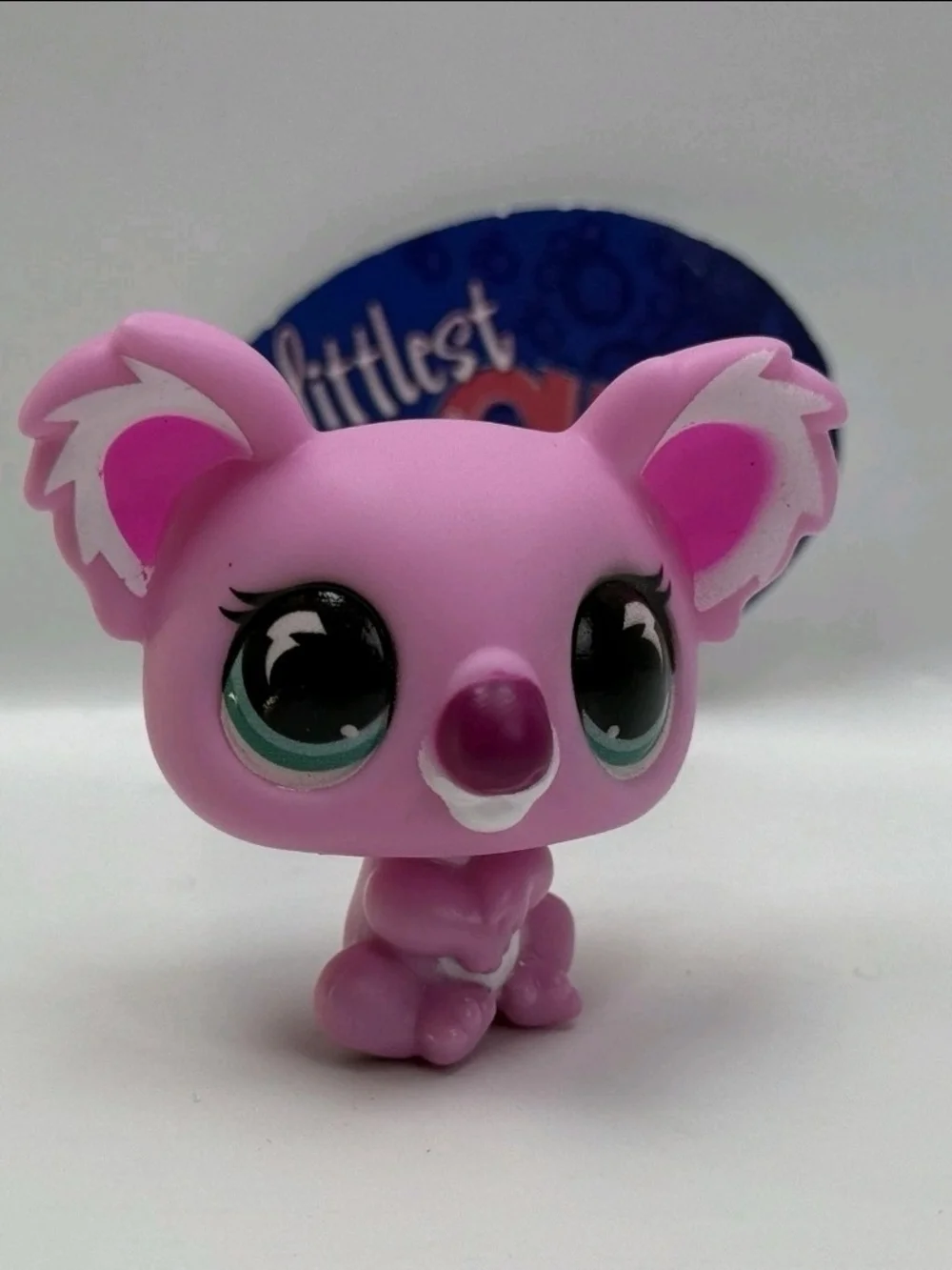 KOALA BEAR #G7 #237 - Authentic Littlest Pet Shop - Hasbro LPS